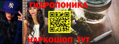 ECSTASY Славгород