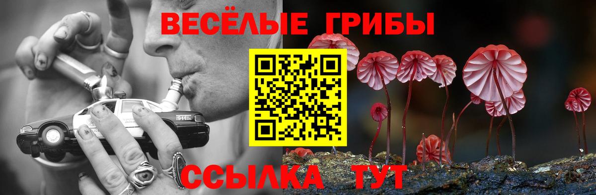 наркота  Вход с VPN  Светлоград  Псилоцибиновые грибы Magic Shrooms 